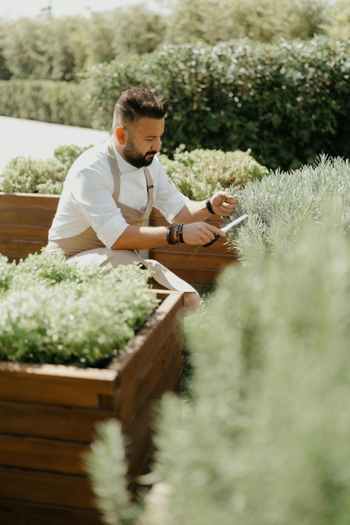 Jw Marriott Hotel Istanbul Marmara Sea Exterior foto A chef working in a kitchen garden
