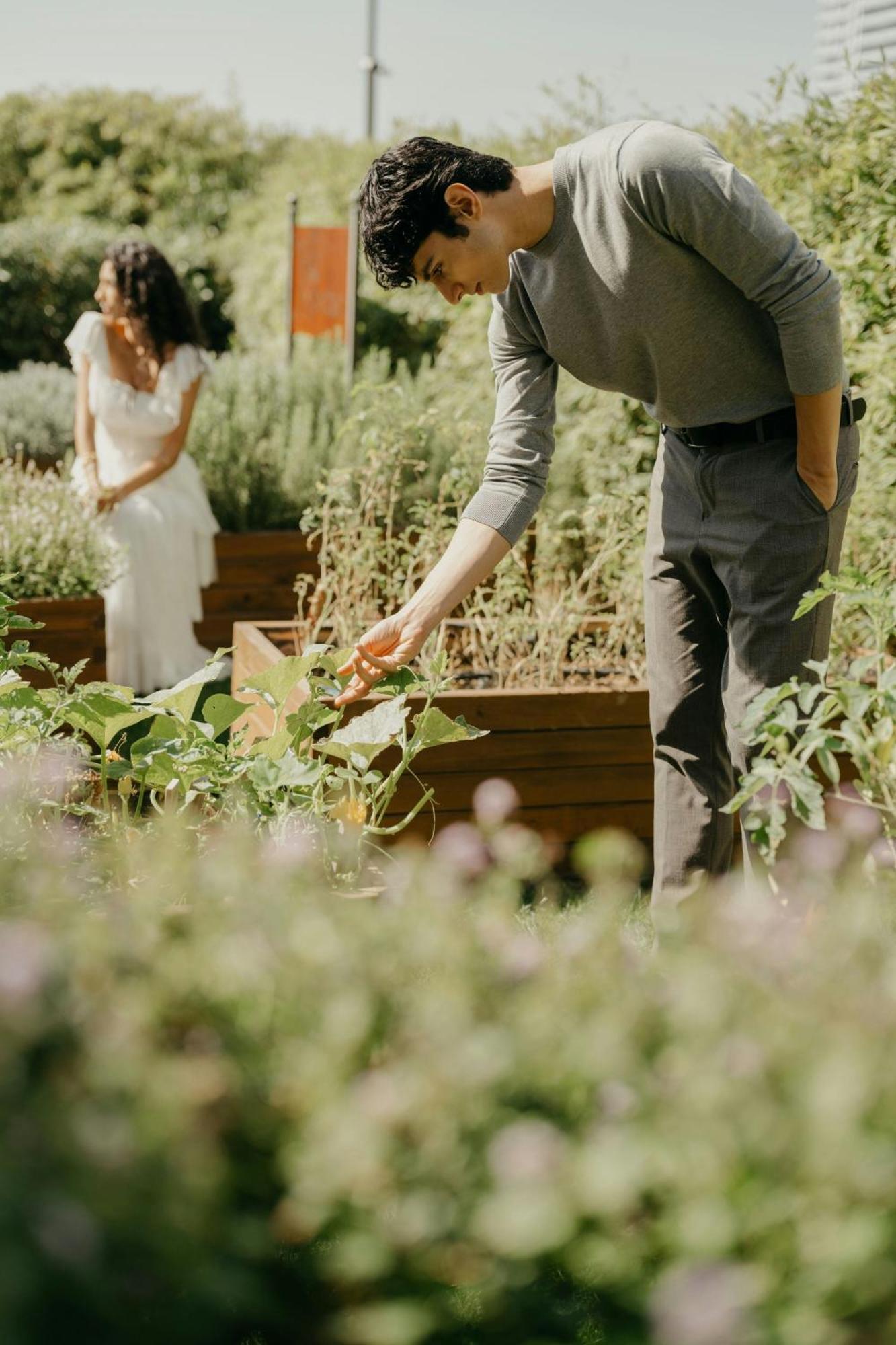 Jw Marriott Hotel Istanbul Marmara Sea Exterior foto A couple working in a community garden